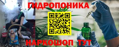 ешки Сланцы