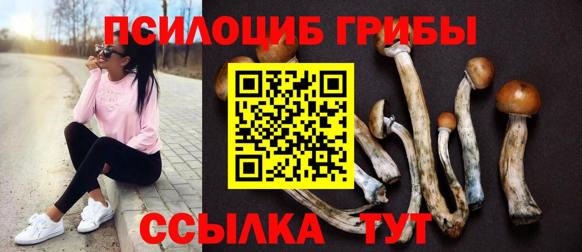 наркотики  Вход с VPN  Москва  Галлюциногенные грибы Magic Shrooms 