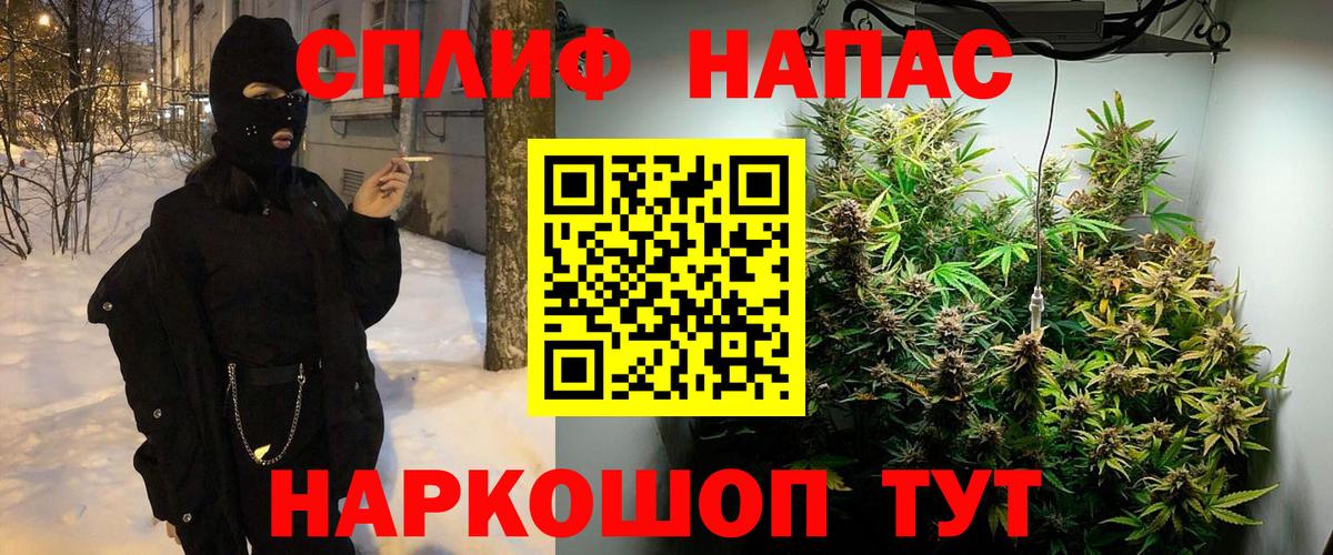 Канабис план Москва